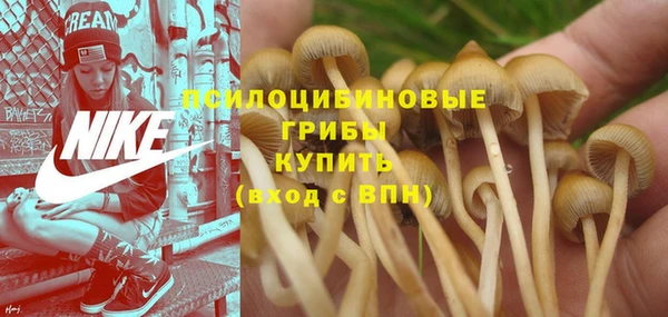 герыч Бугульма