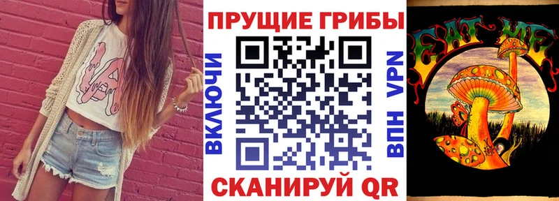 OMG ССЫЛКА  Фёдоровский  Галлюциногенные грибы Psilocybe 